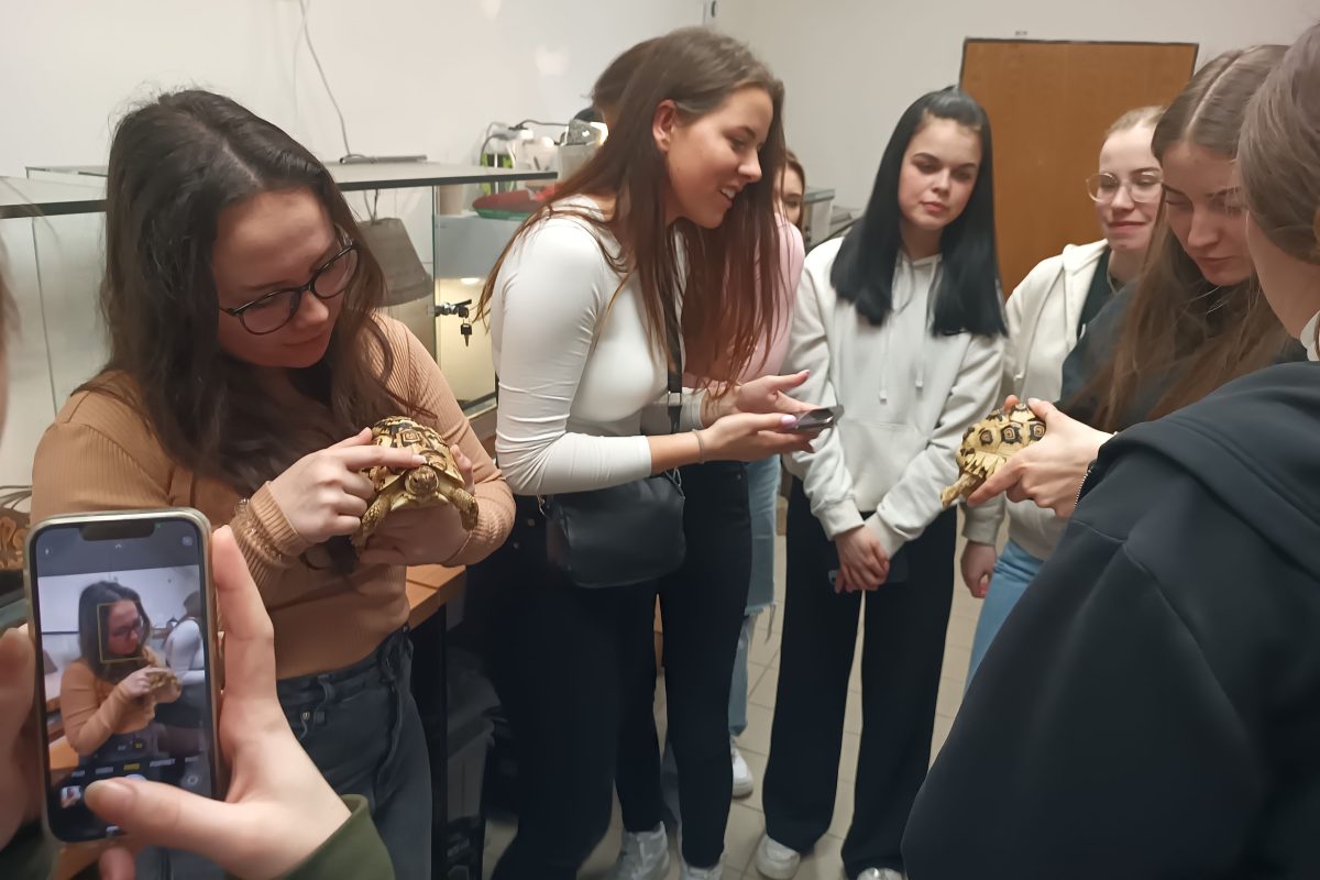 Exkurze SZŠ Plzeň na gymnáziu