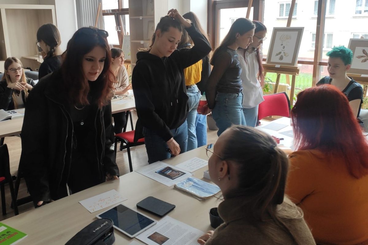 Tok exhibition