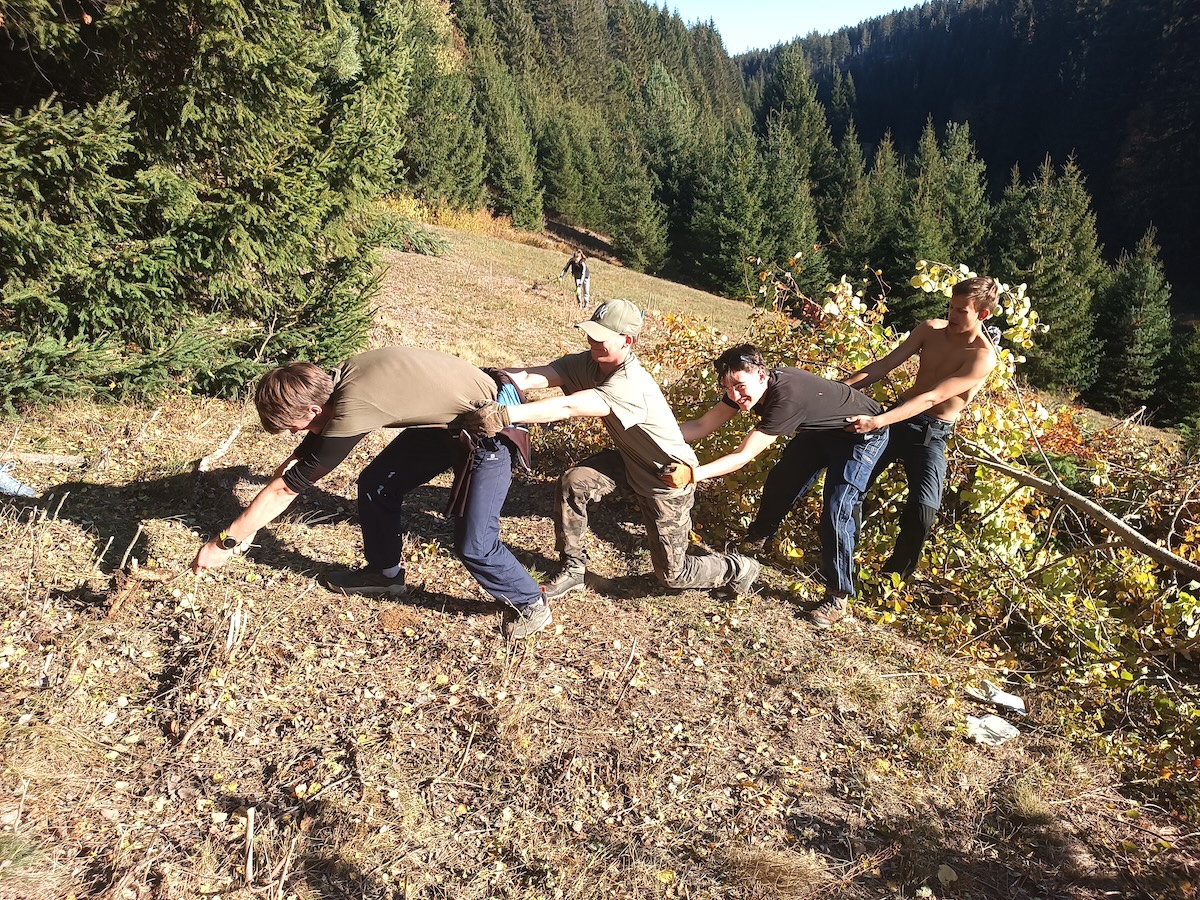 Patronáty – podzimní zásah v NP Šumava